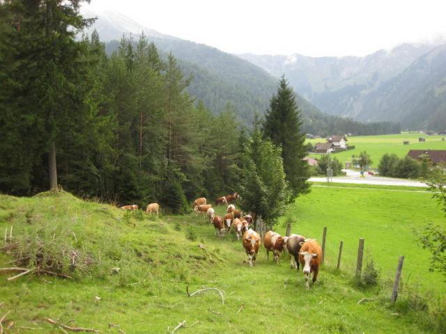 Pension Englhof Achenkirch Exteriör bild